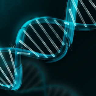 Human Genomics in Precision Medicine