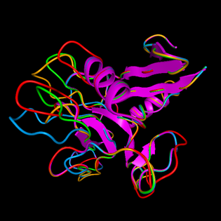 Proteomics and Metabolomics in Precision Health and Medicine