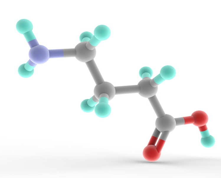 Drug Discovery